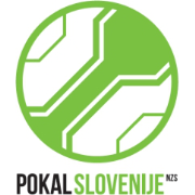 斯亚杯比赛图标